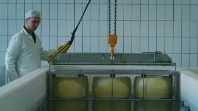 Indústria Alimentícia